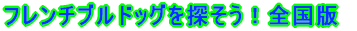 �t�����`�u���h�b�O��T�����I�S���� 